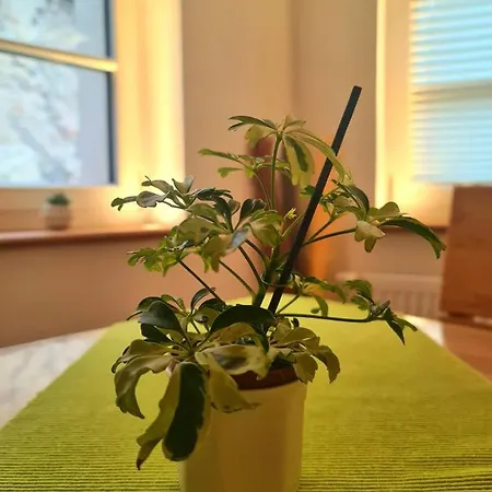 Appartement Genussvolle Auszeit Beim Winzer-apartment Biengarten Neustadt an der Weinstraße