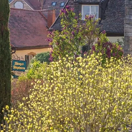 Genussvolle Auszeit Beim Winzer-apartment Biengarten Neustadt an der Weinstraße