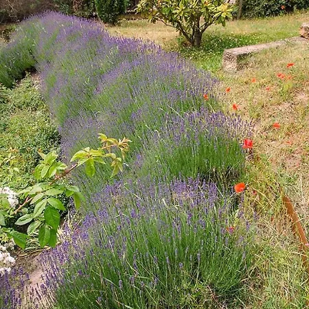 Genussvolle Auszeit Beim Winzer-apartment Biengarten